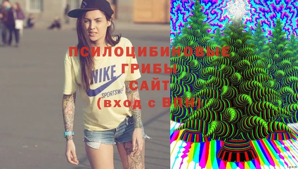 эйфоретик Алексеевка